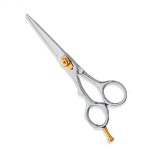 Professional hair Cutting Scissors