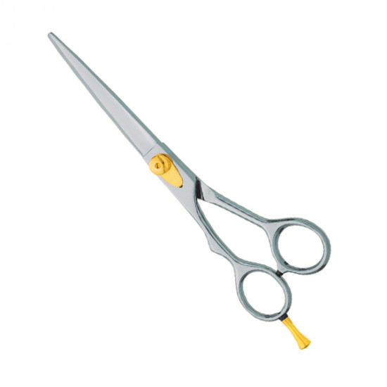 Professional hair Cutting Scissors