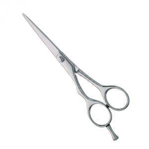 Professional hair Cutting Scissors