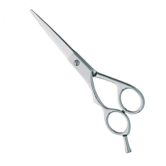 Professional hair Cutting Scissors