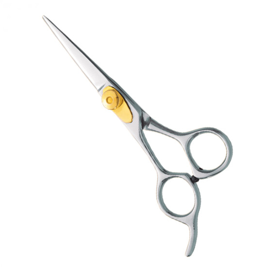 Professional hair Cutting Scissors