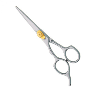 Professional hair Cutting Scissors