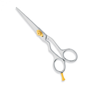 Professional hair Cutting Scissors