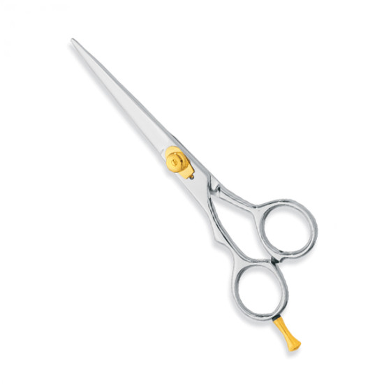 Professional hair Cutting Scissors