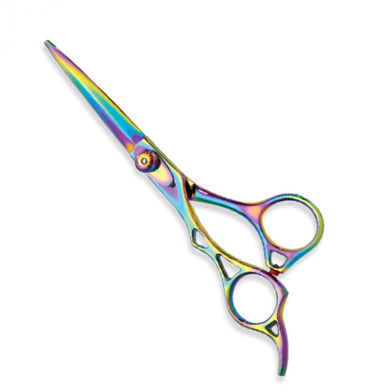 Professional hair Cutting Scissors