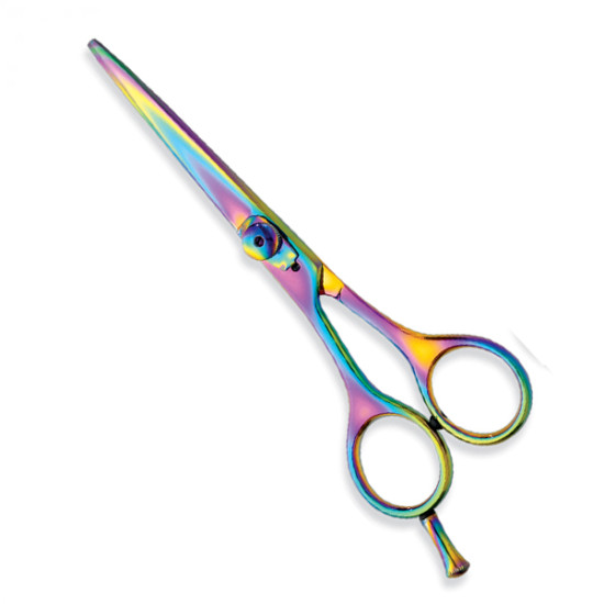 Professional hair Cutting Scissors