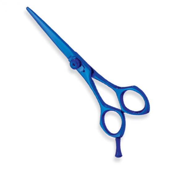 Professional hair Cutting Scissors