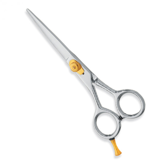 Professional hair Cutting Scissors