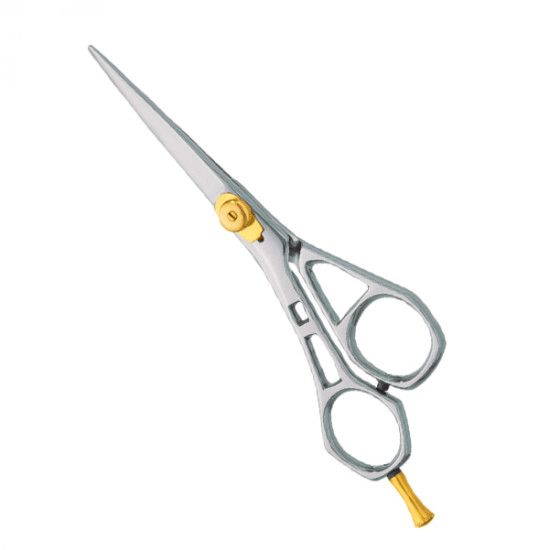 Professional hair Cutting Scissors