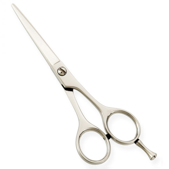 Standard Hair Dressing Scissors